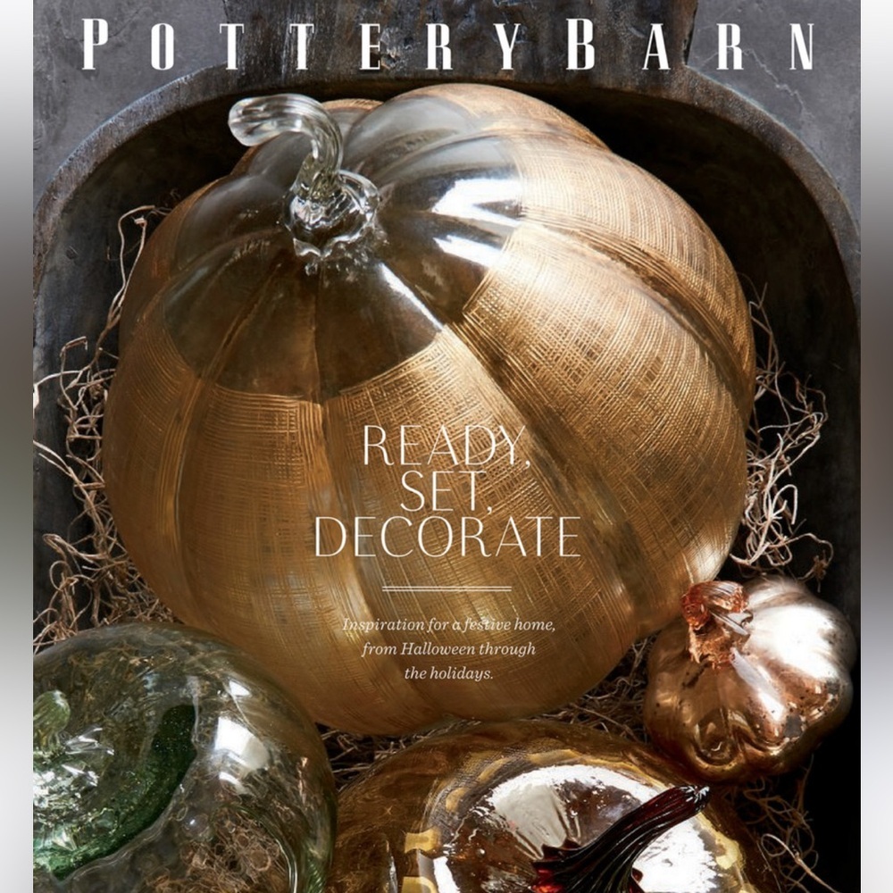 Pottery barn linen pumpkin stunning sold out